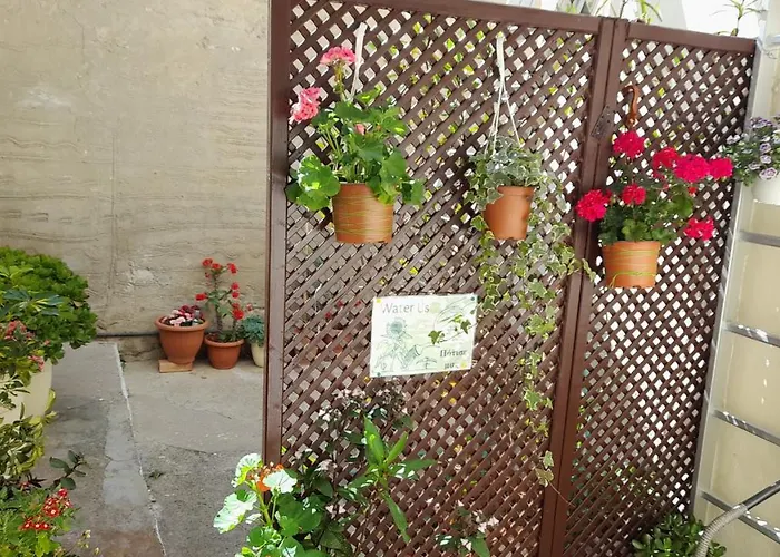 Venetian Garden