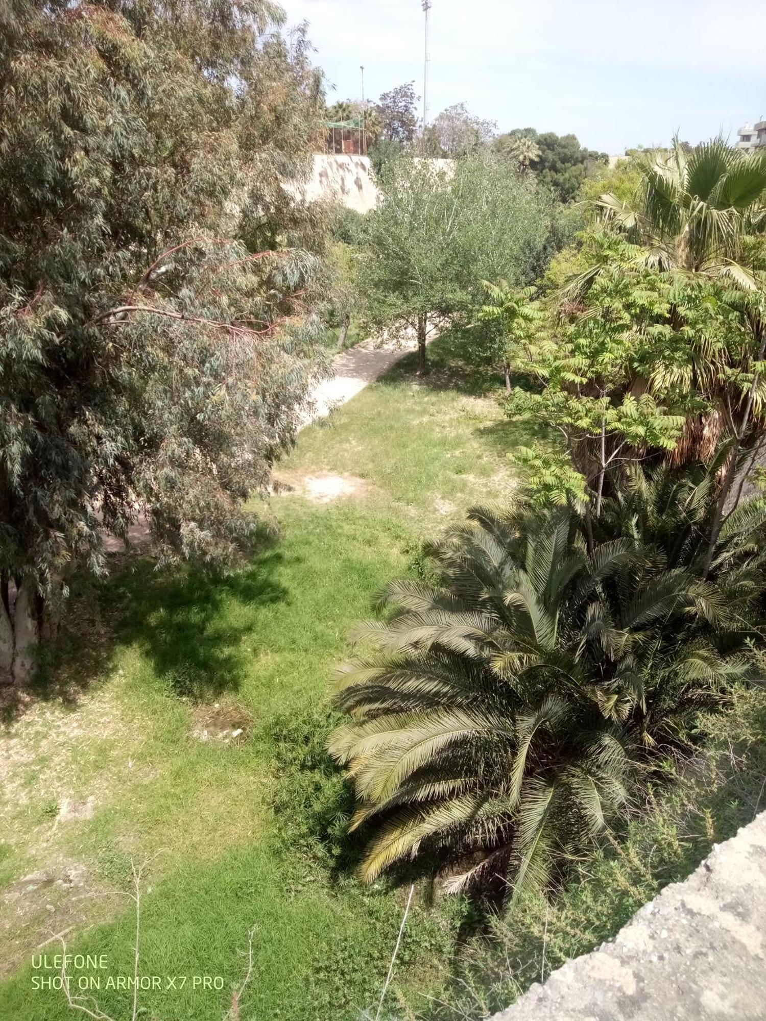Venetian Garden Apartamento *
